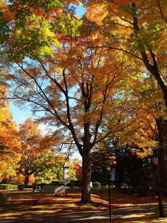 Andover Massachusetts' West Parish Garden Cemetery in fall #6