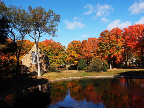 Andover Massachusetts' West Parish Garden Cemetery in fall #8