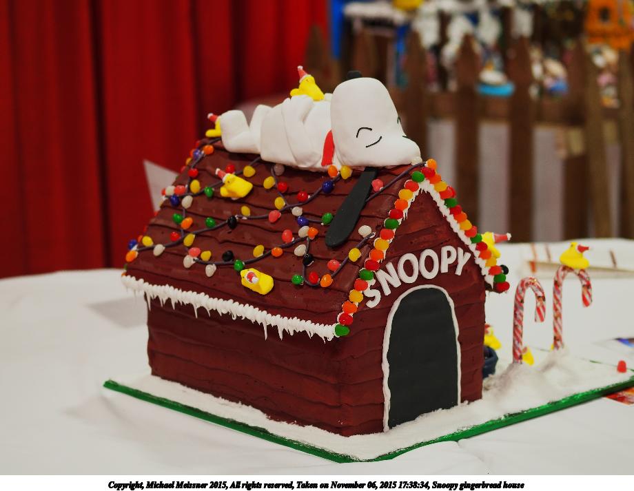 Snoopy gingerbread house #2