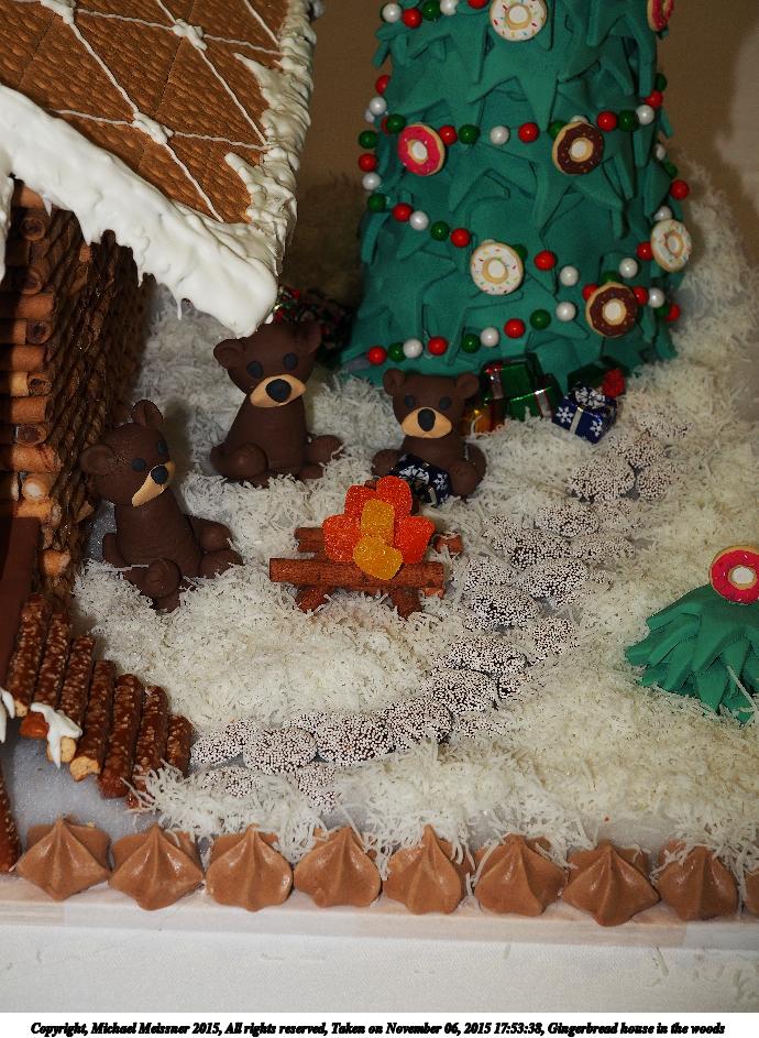 Gingerbread house in the woods #4