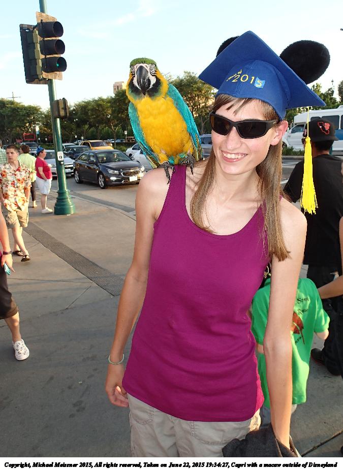 Capri with a macaw outside of Disneyland #4