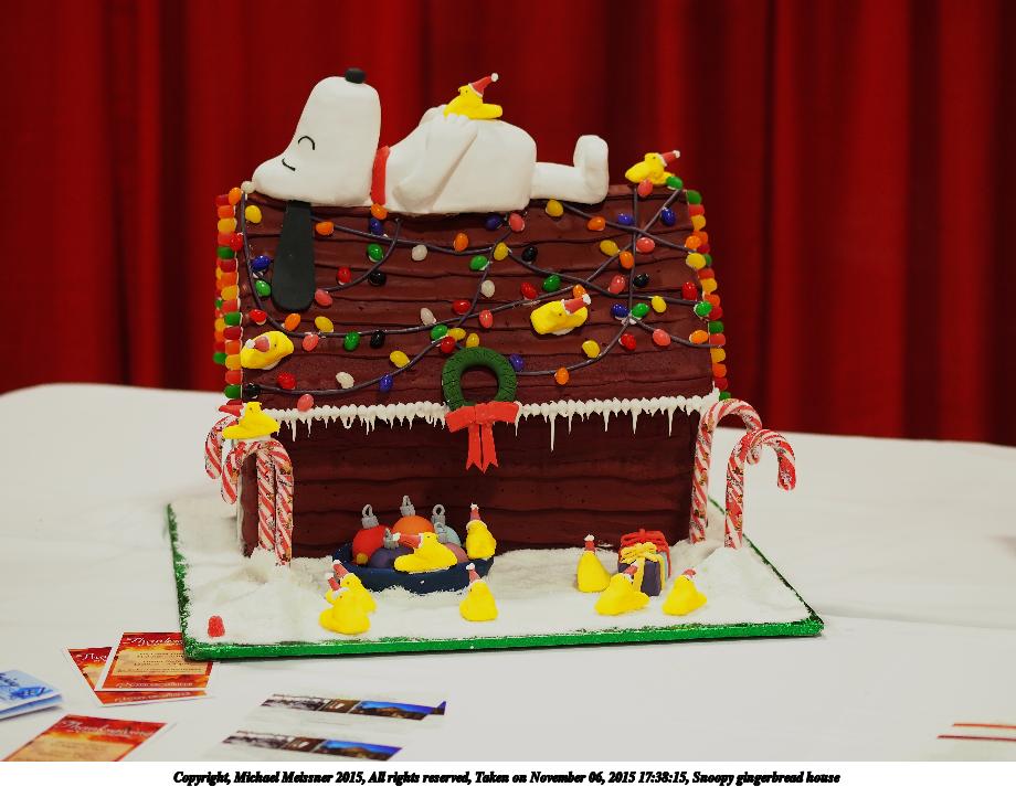 Snoopy gingerbread house