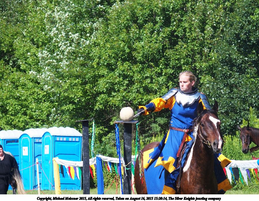 The Silver Knights jousting company #12
