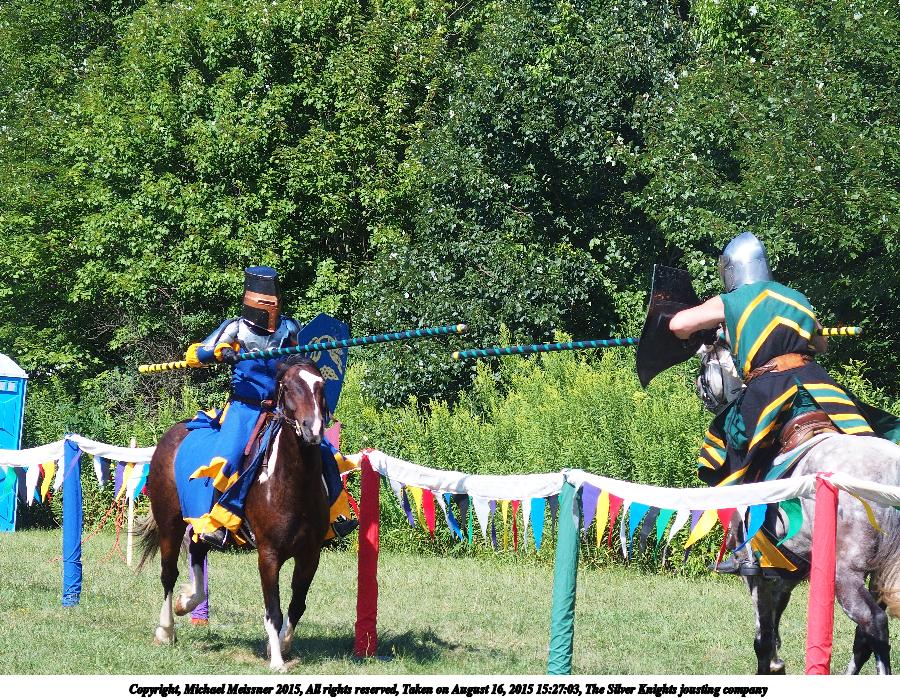 The Silver Knights jousting company #18