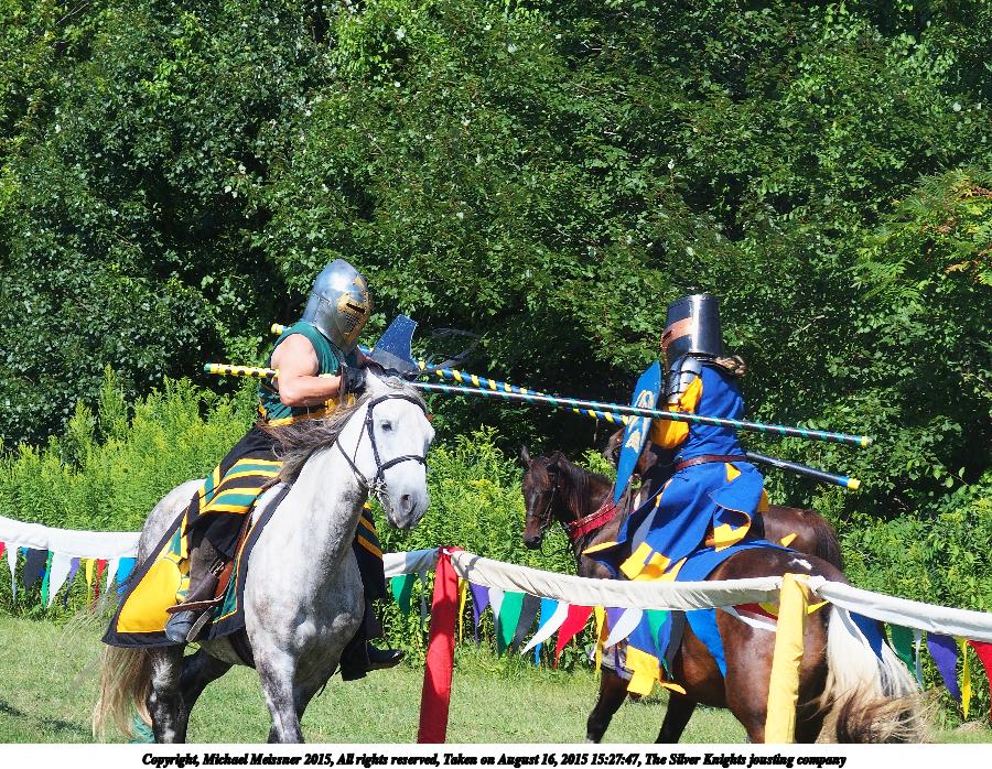 The Silver Knights jousting company #20