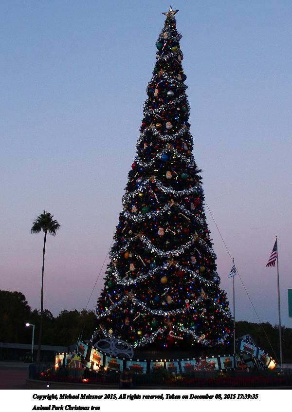 Animal Park Christmas tree