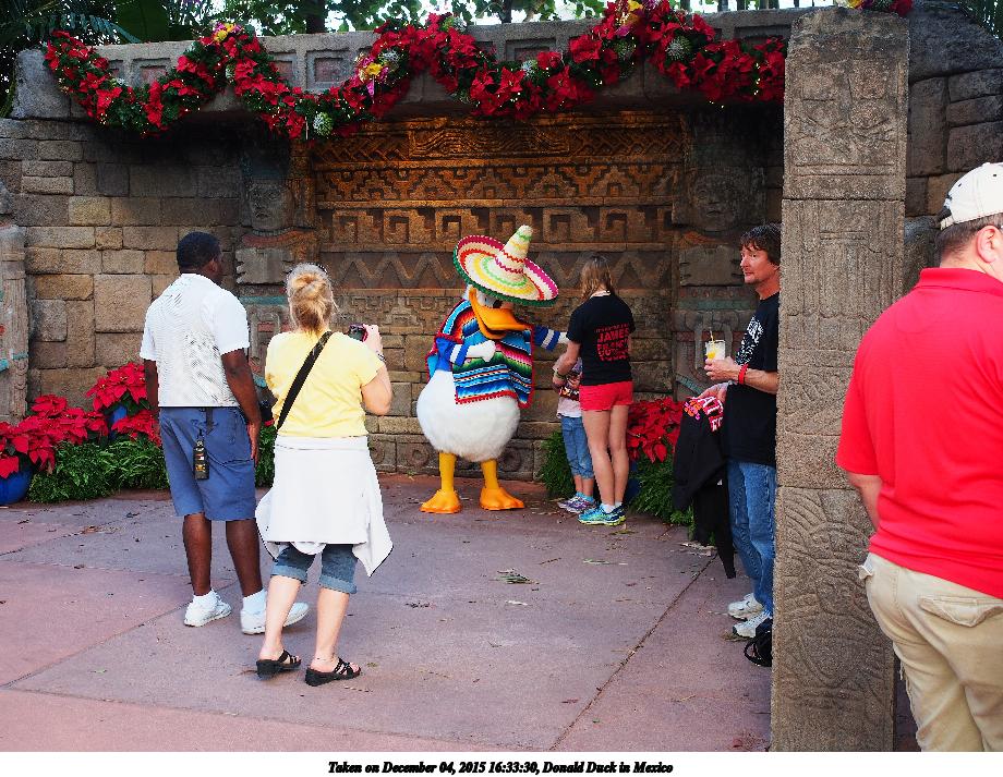 Donald Duck in Mexico