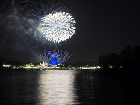 Wishes fireworks (taken from Ferryworks Fireworks Cruise) #7