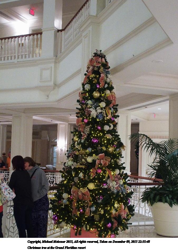 Christmas tree at the Grand Floridian resort #3