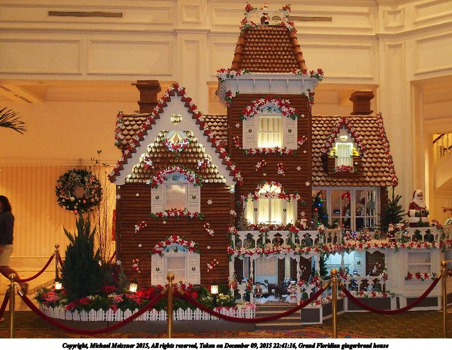 Grand Floridian gingerbread house #5