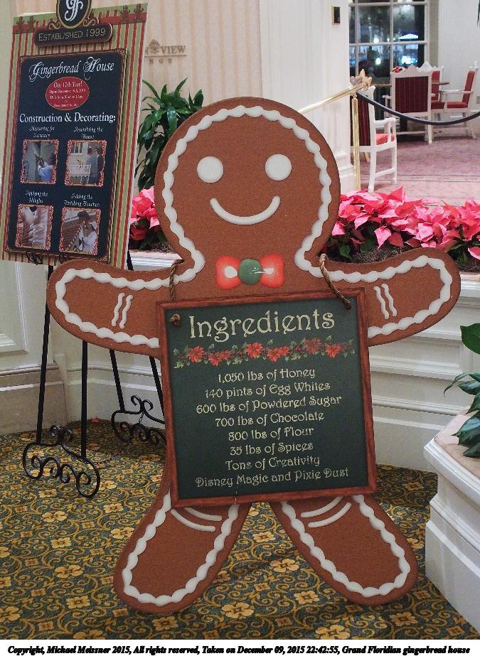 Grand Floridian gingerbread house #13