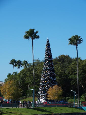 Hollywood Studios Christmas tree