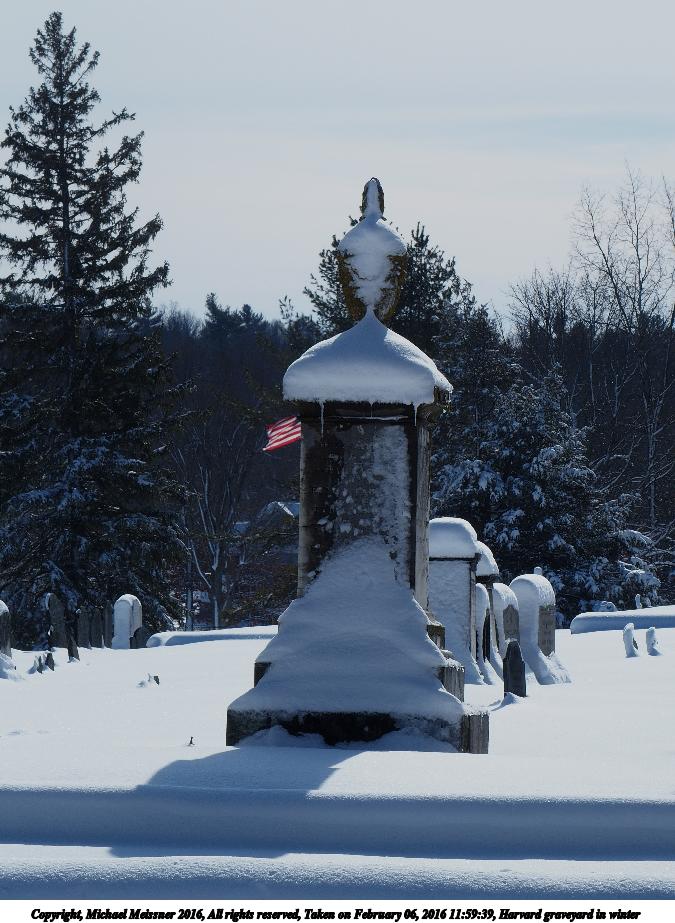 Harvard graveyard in winter #3