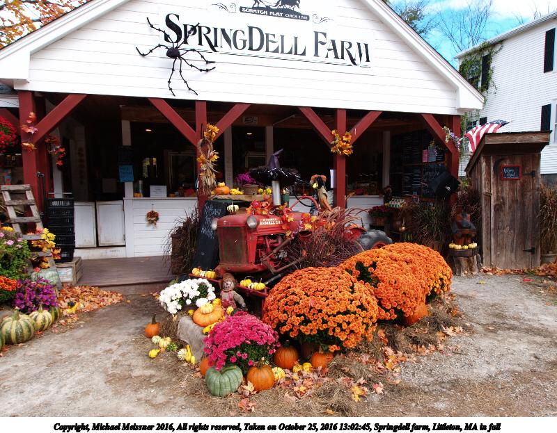 Springdell farm, Littleton, MA in fall #5