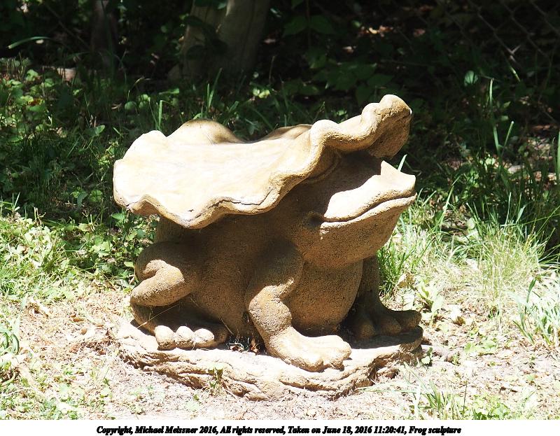 Frog sculpture