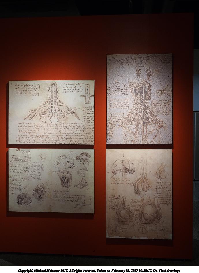 Da Vinci drawings
