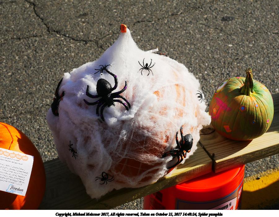 Spider pumpkin #2