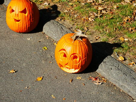 Carved pumpkins #7