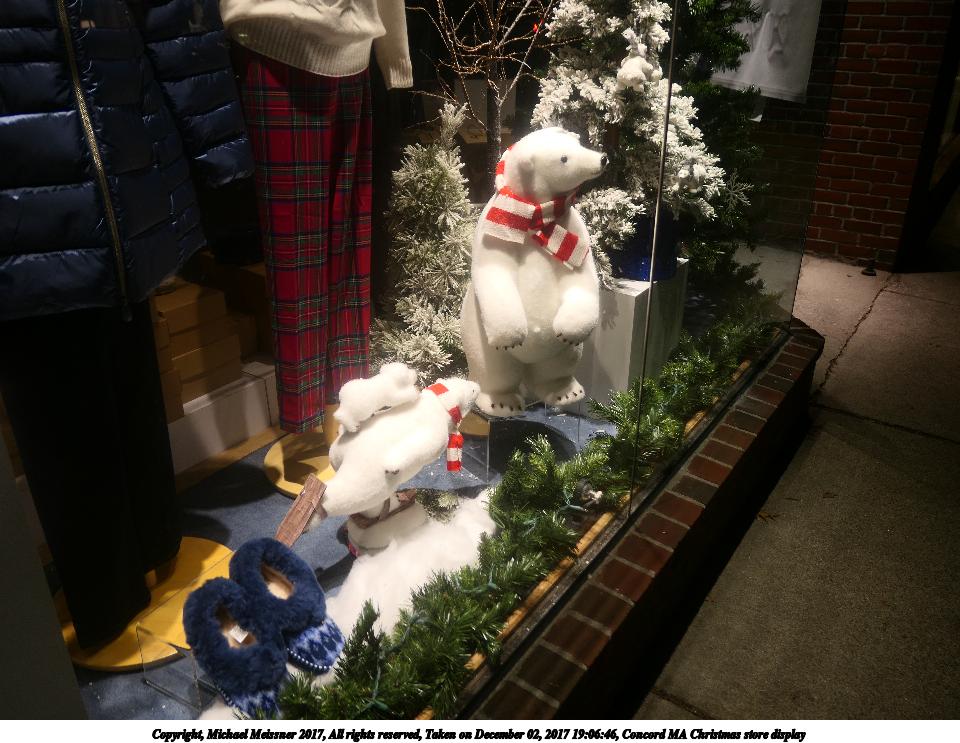 Concord MA Christmas store display #5