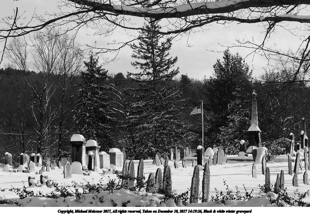 Black & white winter graveyard
