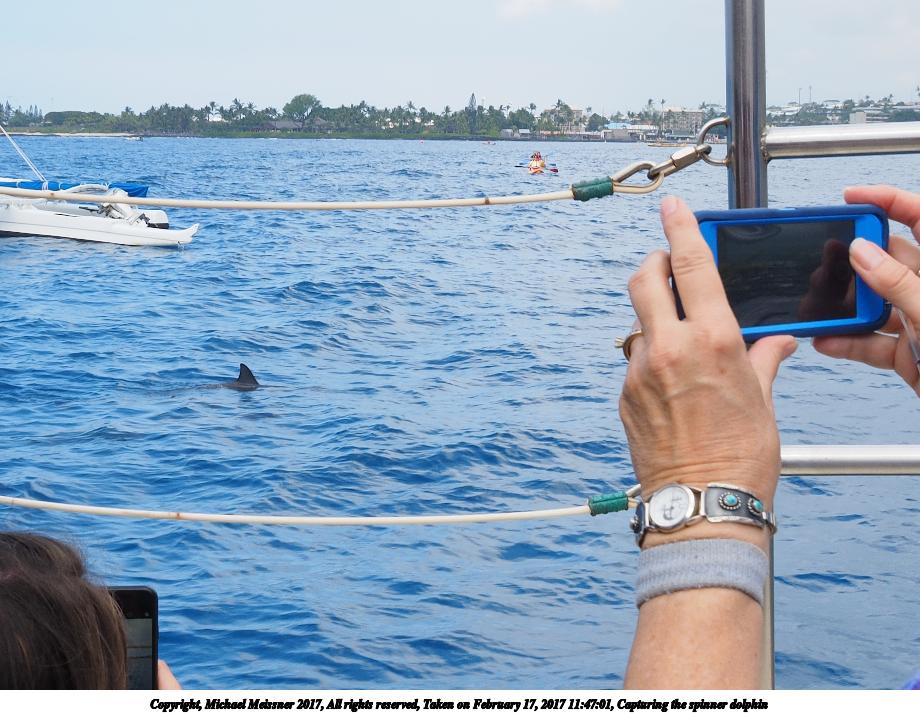 Capturing the spinner dolphin
