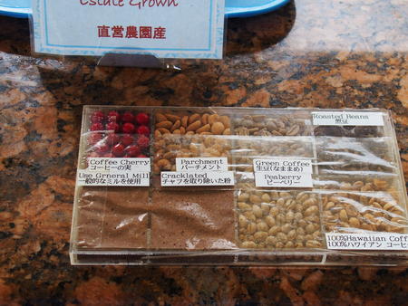 Different coffee  beans