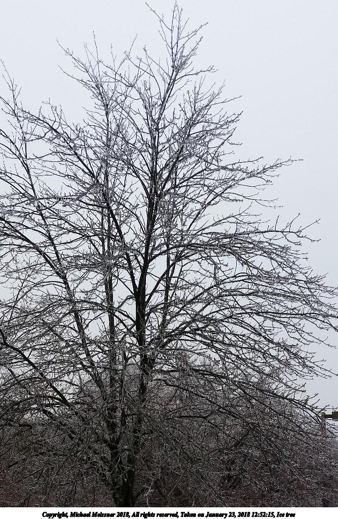Ice tree
