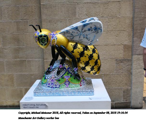 Manchester Art Gallery worker bee