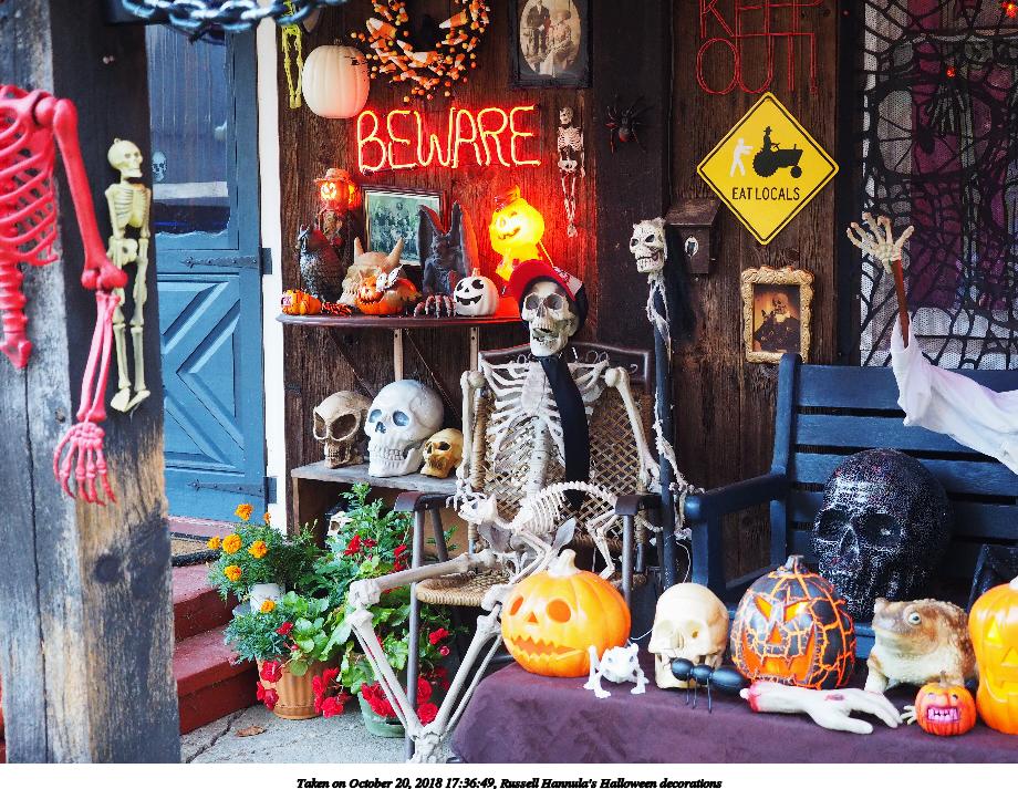 Russell Hannula's Halloween decorations #9