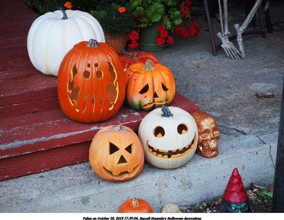 Russell Hannula's Halloween decorations #16