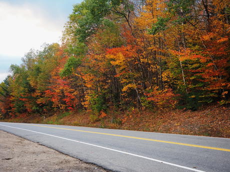 Fall on the Kancamagus Highway #12