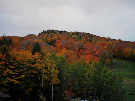 Fall colors at Loon Mountain