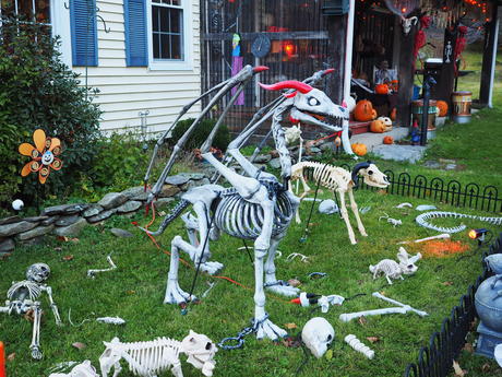 Russell Hannula's Halloween decorations #12