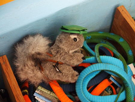 Nutzo, watch out for snakes