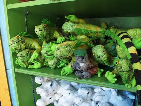 One of these is not the same