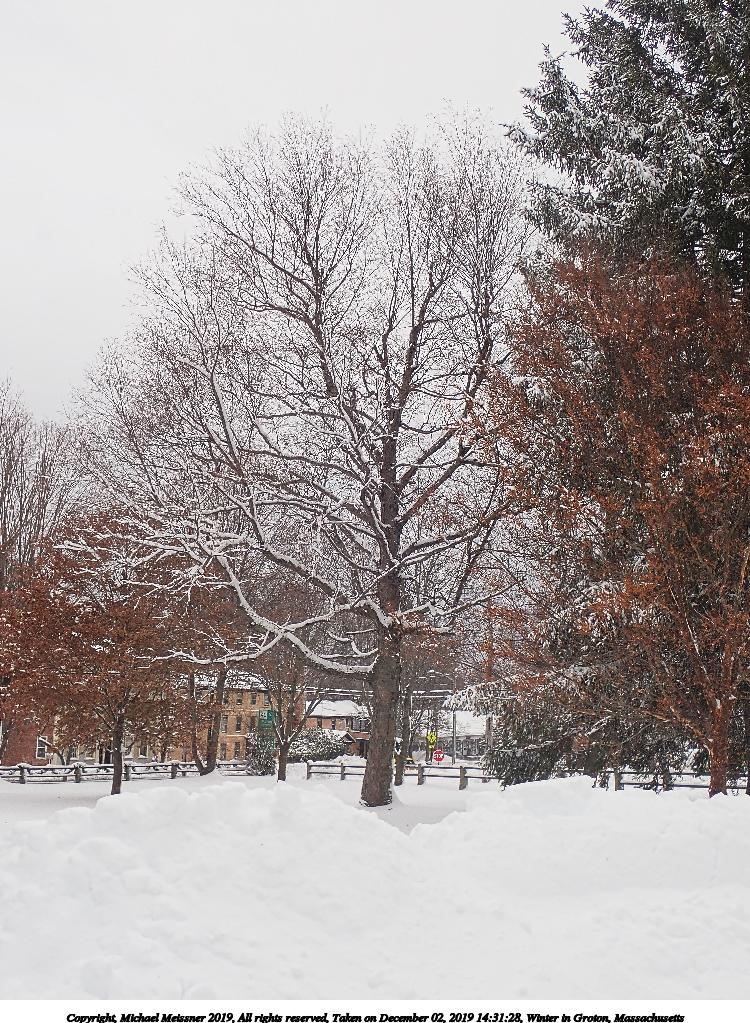 Winter in Groton, Massachusetts #3