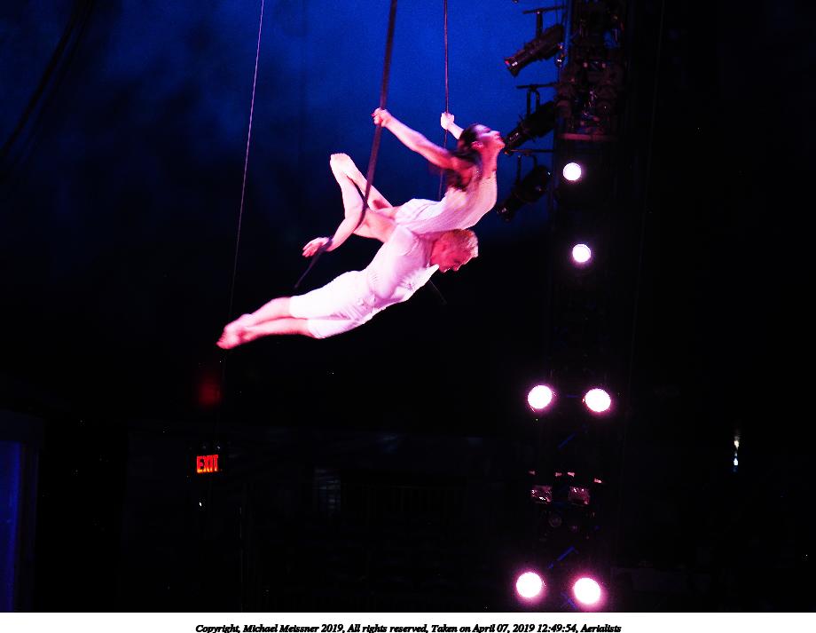 Aerialists #2
