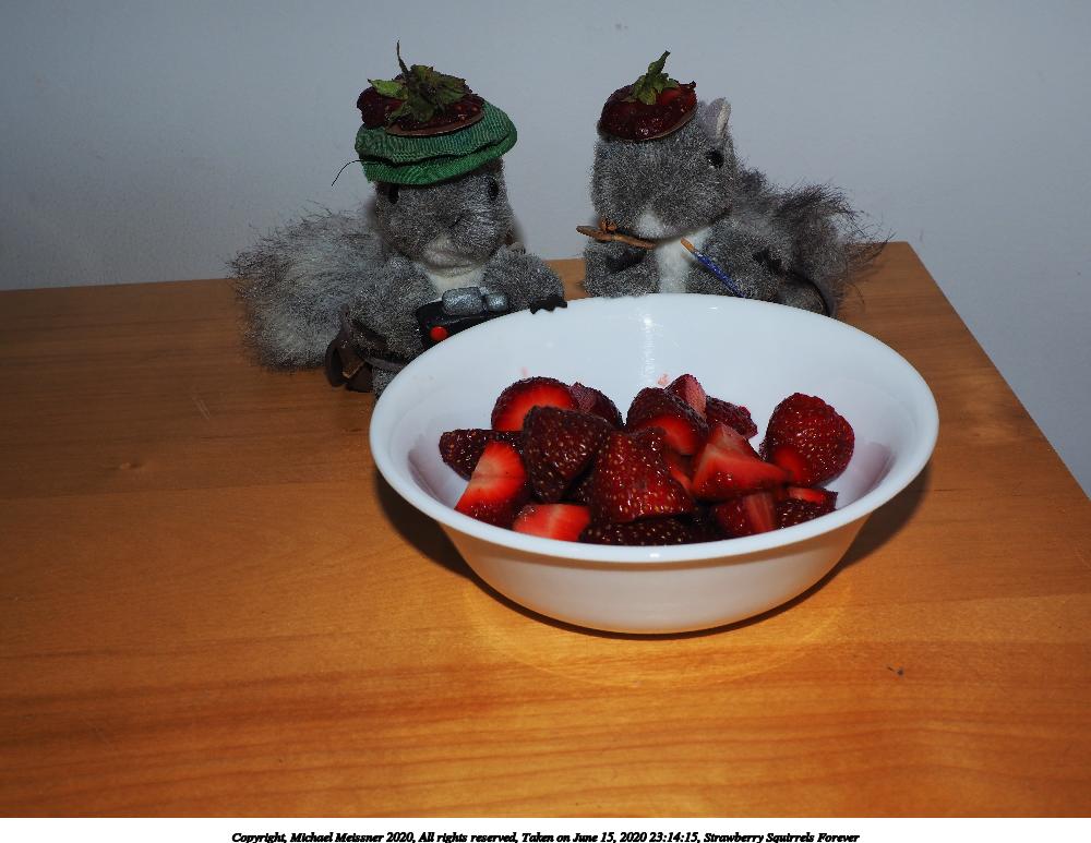 Strawberry Squirrels Forever #2