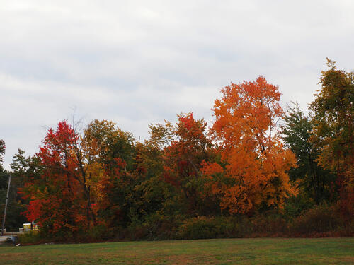 Fall in Littleton, Massachusetts #2