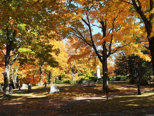 Fall in West Parish Garden Cemetery, Andover, MA #4