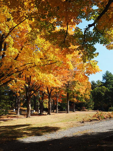 Fall in West Parish Garden Cemetery, Andover, MA #5