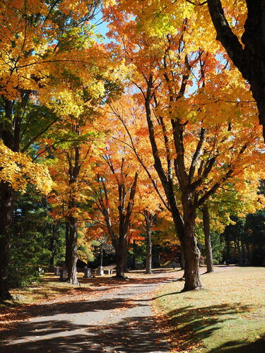 Fall in West Parish Garden Cemetery, Andover, MA #6