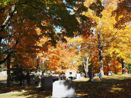 Fall in West Parish Garden Cemetery, Andover, MA #7