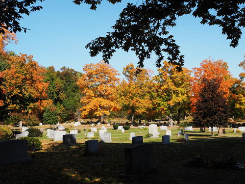 Fall in West Parish Garden Cemetery, Andover, MA #9
