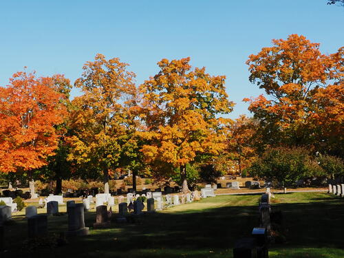 Fall in West Parish Garden Cemetery, Andover, MA #10