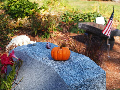 Pumpkin on grave