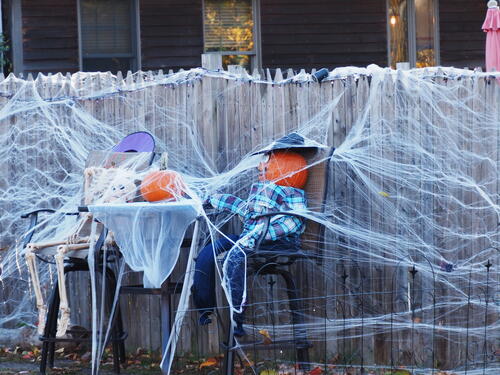 Spiders and pumpkins #2