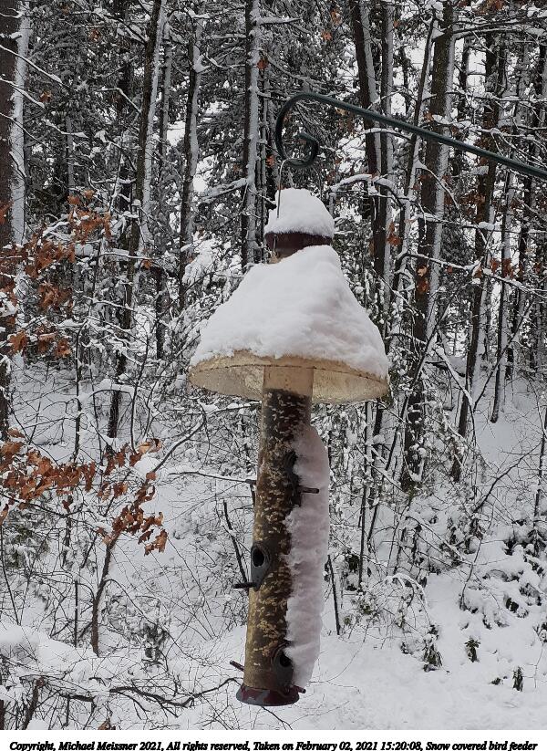 Snow covered bird feeder