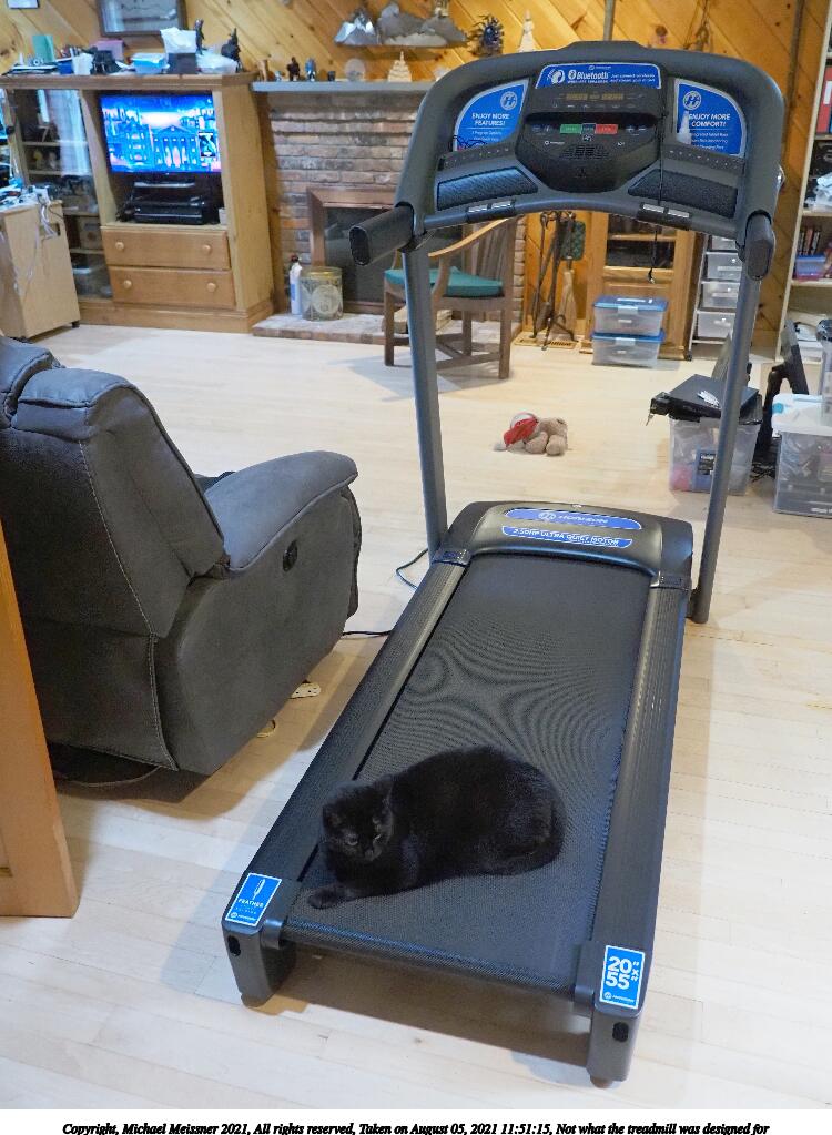 Not what the treadmill was designed for #2