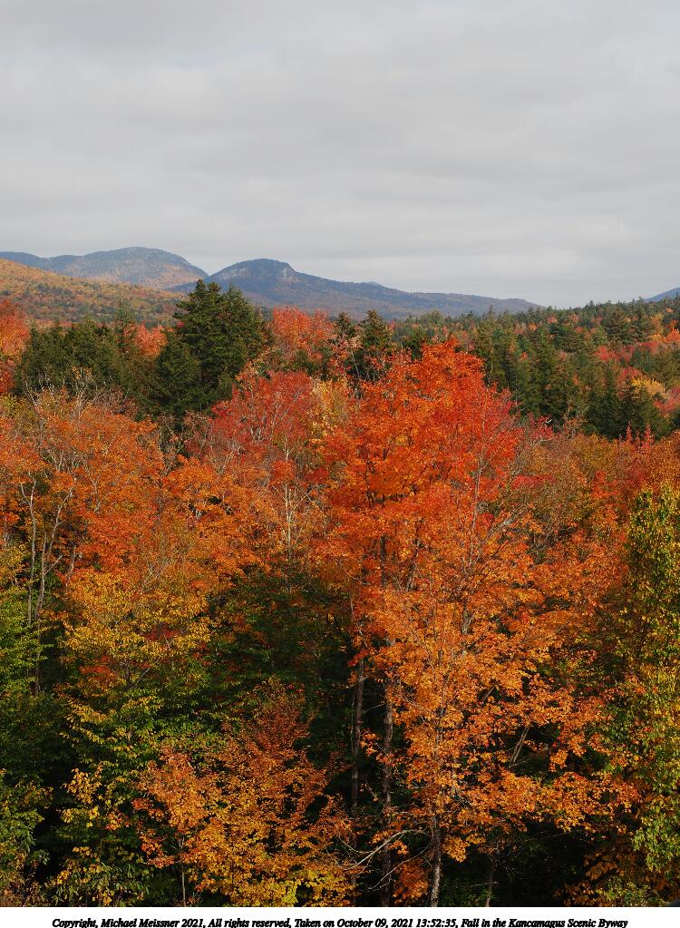 Fall in the Kancamagus Scenic Byway #21